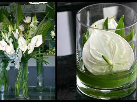 Anthurium Arrangements