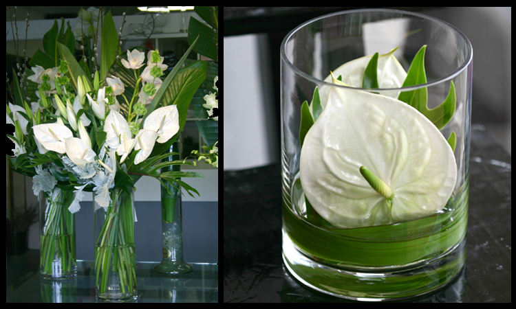 Anthurium Arrangements