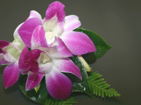 orchid corsage