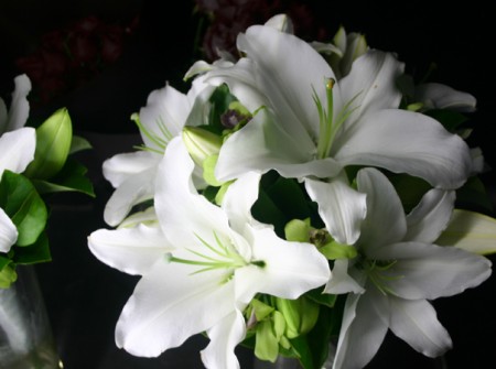 white lily bouquet