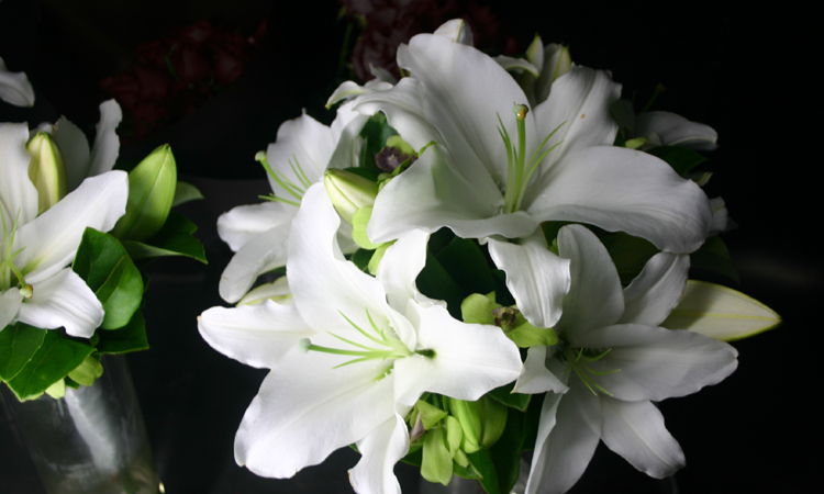 white lily bouquet