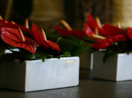 anthurium table arrangement