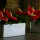 anthurium table arrangement