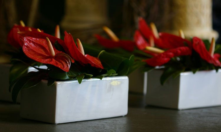 anthurium table arrangement