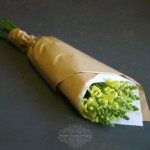 just-flowers-snapdragons-wrap