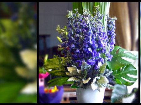 delphinium-arrangement