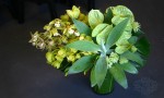 vase-with-agave-green