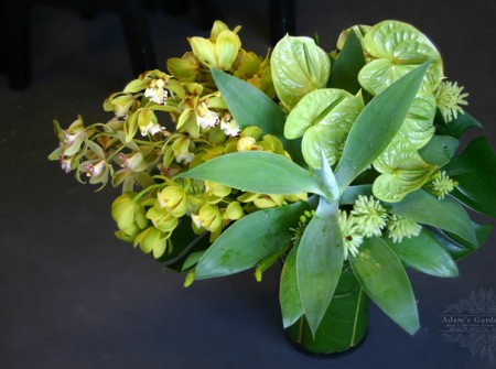 vase-with-agave-green