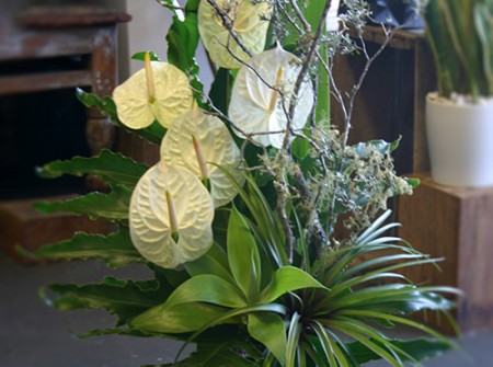 green-tropical-arrangement