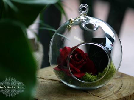parkwood florist rose glass globe fun cool