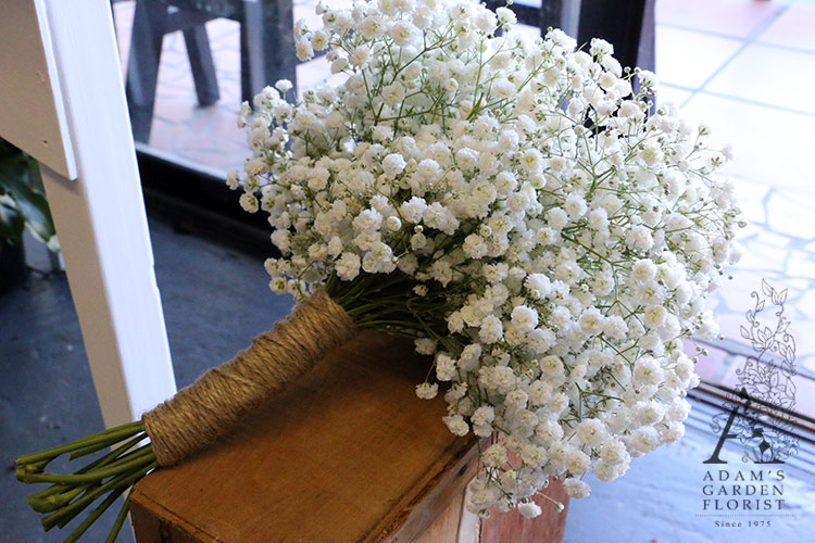 baby's breath bouquet