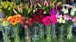 colour gradation flower table florist parkwood