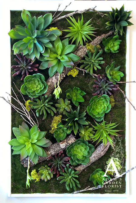 artificial succulent and moss hanging frame Gold Coast florist