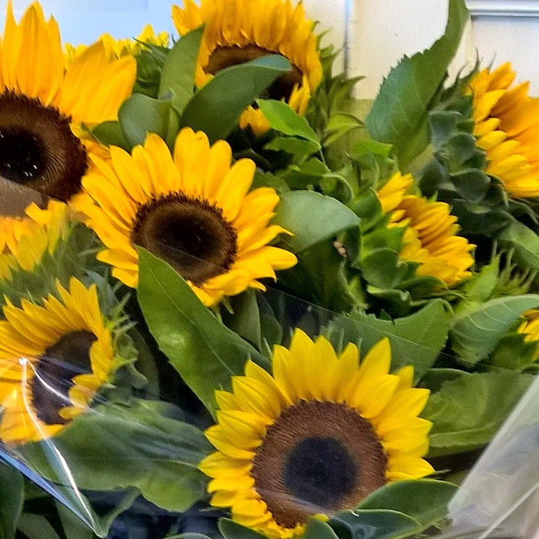 simple sunflower bouquet gold coast delivery