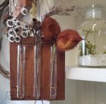 test tube hanging vase gift gold coast delivery