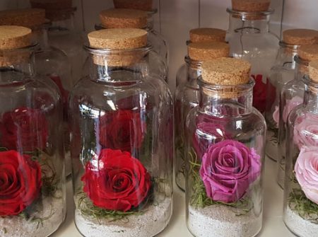 preserved rose red parkwood flower shop