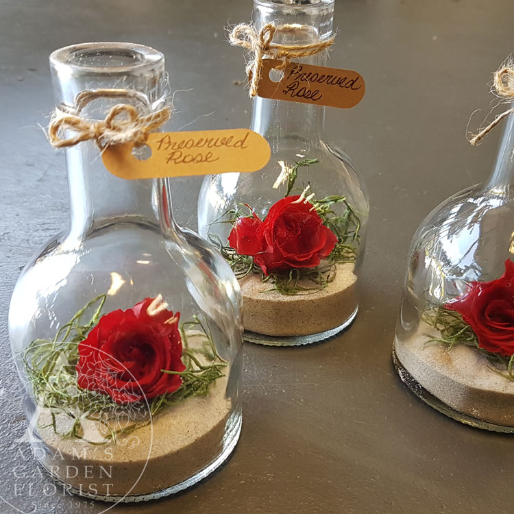 preserved-rose-bottle-Gold Coast delivery